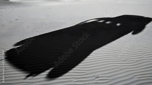 Fototapeta Naklejka Na Ścianę i Meble -  Abstract Shadow on White Sand Dunes with Rhythmic Wavy Patterns and Sunlight
