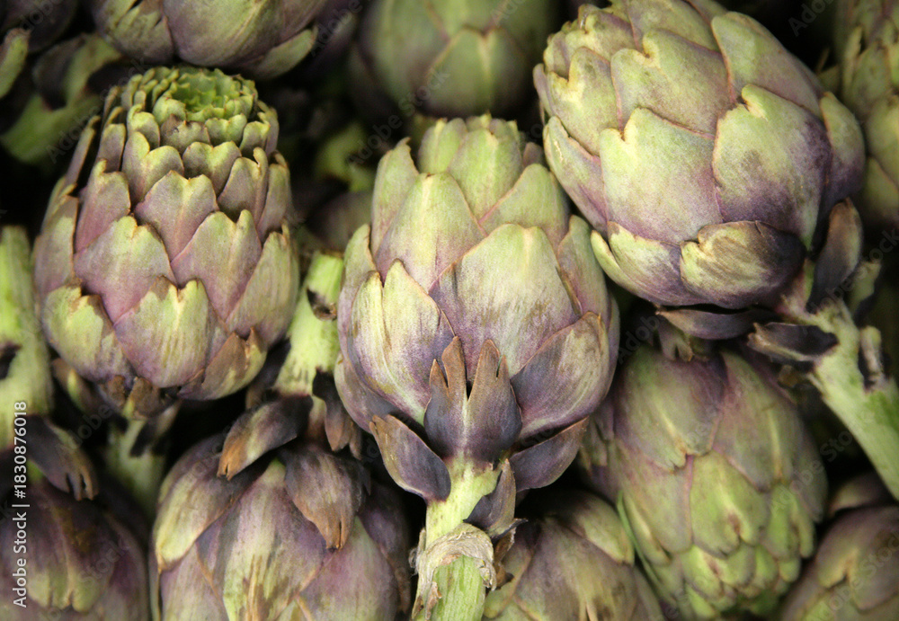 Fototapeta premium Artischoken