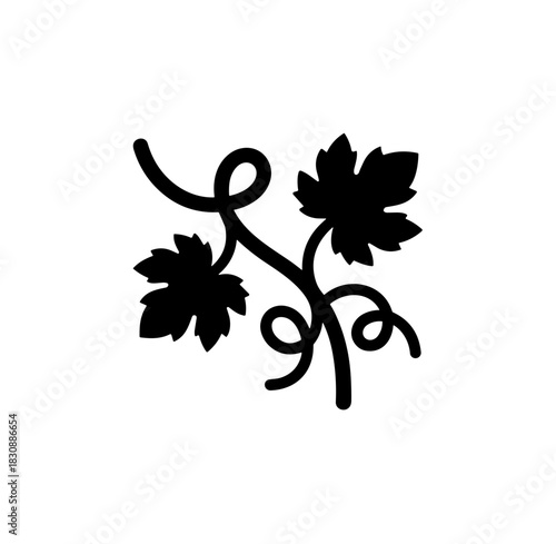 Minimalist Silhouette Grape Vine Branch with Leaf and Tendril Illustration