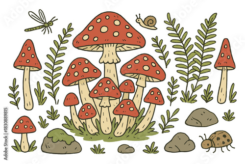 Whimsical hand drawn red mushrooms, green ferns, rocks, and small forest insects
