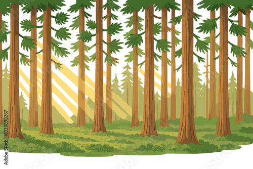 Bright sunbeams penetrating the forest canopy and illuminating the green undergrowth