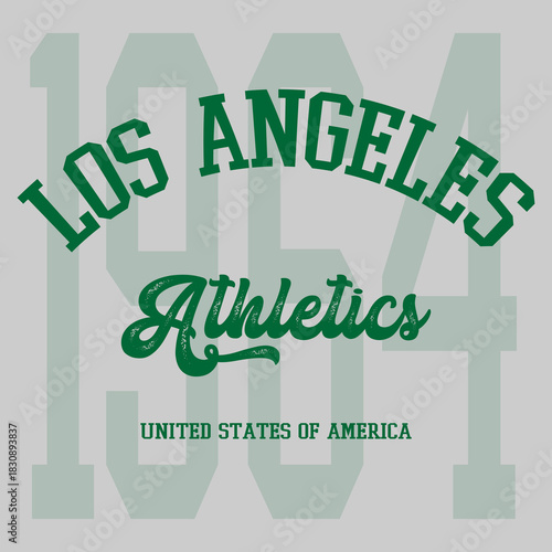 Retro typography university united states state vintage slogan print, 
highlighted grunge texture for graphic t-shirt or sweatshirt hoodie - Vector