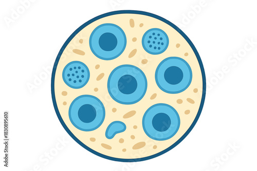 Cross section of a peripheral nerve bundle showing myelinated and unmyelinated fibers