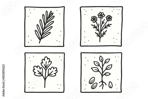 Black and white minimalist hand drawn botanical icons set in square frames