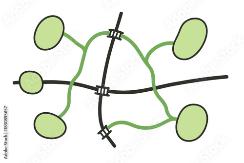 Complex interconnected network nodes and pathways crossing over central axes