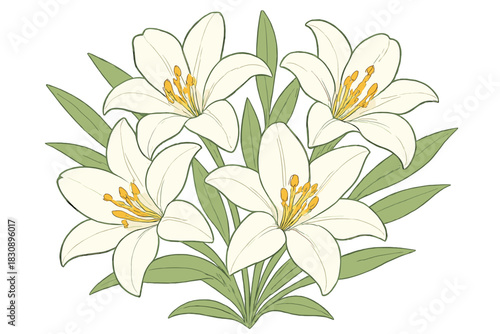 Elegant bouquet of white Easter lilies with green foliage on a clean background