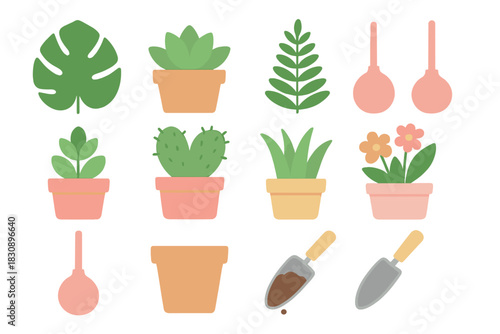 Potted houseplants collection with essential gardening tools for indoor care