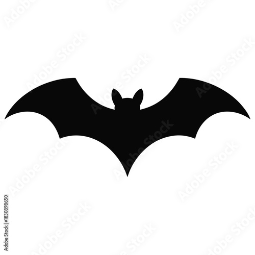 bat and bats
