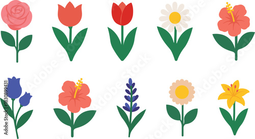 Colorful Flower Icon Collection – Rose, Tulip, Daisy, Hibiscus, Bellflower, Lavender & Lily Illustrations