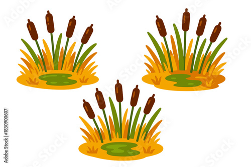 Stylized groups of cattail plants and reeds growing in marshy wetland patches