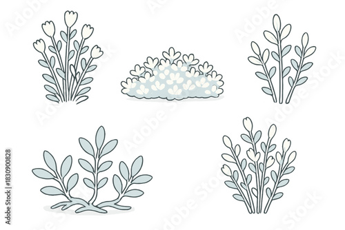 Five stylized hand drawn garden plants and bushes set with light blue foliage