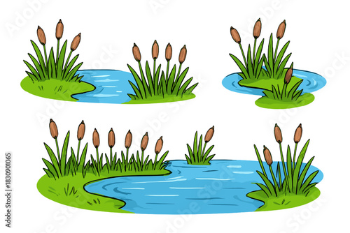 Lush green cattails growing around small blue ponds and puddles isolated on white background