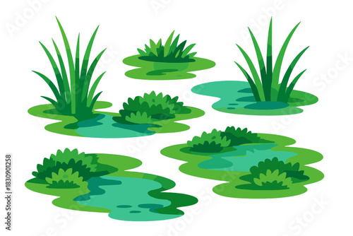 Cartoon swamp grass reeds and water puddles isolated on white background