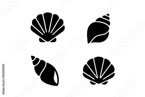 Black silhouette icons featuring scallop, conch, and spiral seashells