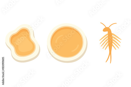 Abstract biological shapes of a stylized crustacean and two cell forms for science design