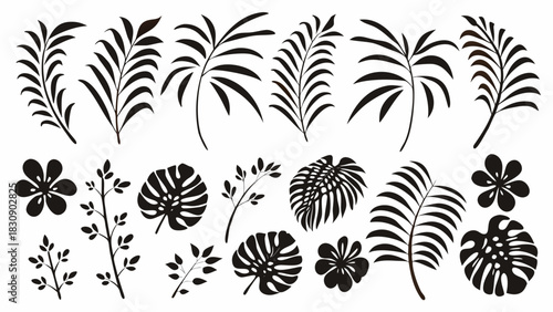 Exotic botanical silhouettes for striking modern designs, tropical foliage elements for creating elegant patterns, and floral accents for inviting summer themes