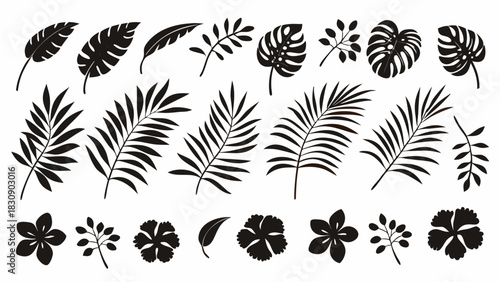 Tropical leaves and flowers for elegant, modern designs, perfect for summer promotions, eco-friendly branding, and creating a natural, calming atmosphere