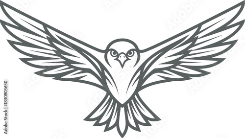 Majestic bird of prey soaring with outstretched wings in flight.