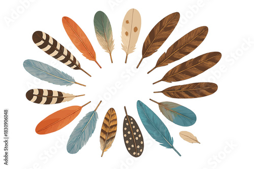 Colorful natural bird feathers arranged in a decorative circular frame design