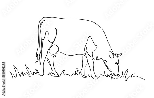 Cow on pasture in continuous line art drawing style. Grazing cow minimalist black linear sketch isolated on transparent background