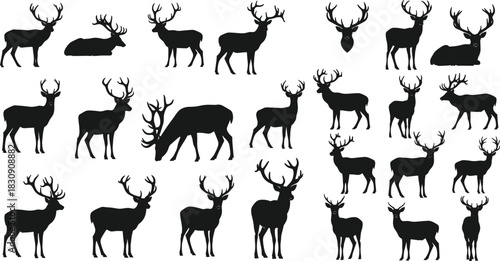 Extensive Vector Set of Deer Silhouettes, Featuring Stags with Antlers in Various Poses, Including Standing, Resting, and Grazing, Ideal for Hunting, Wildlife, and Nature-Themed Designs.