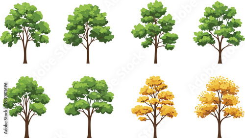 Set of Green and Autumn Deciduous Trees Vector Illustrations, Diverse Natural Elements for Landscape Design, Seasonal Graphics, and Environment Maps Isolated.