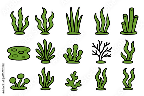 Set of various green underwater plants and marine algae elements for aquatic design