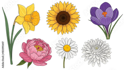 Assortment of vibrant spring flowers in full bloom for design and decoration