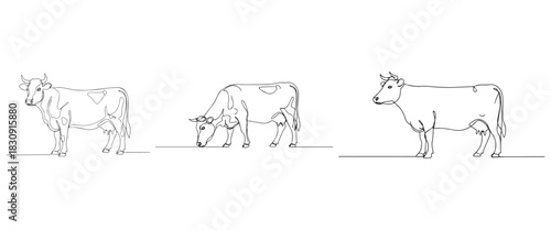 Minimal Continuous Line Art Vector of Standing and Grazing Cows on White Background