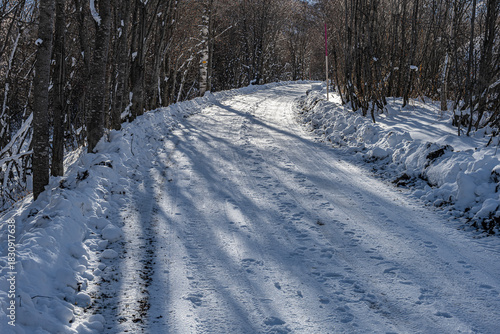 Beschneite Waldstrasse im Ursrental, Kanton Uri, Schweiz