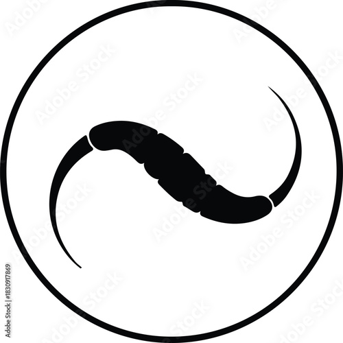 Illustration Cordyceps mushroom in round frame silhouette vector