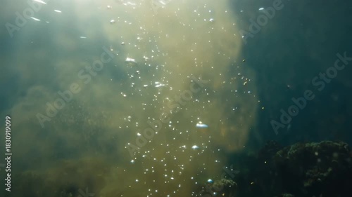 Underwater slow motion bubbles moving to surface in turquoise crystal clear pool propagate in defocus surface Rising blue water ocean scenery Marine background VFX element