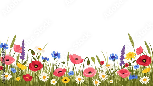 A vibrant field of wildflowers and green grass, blooming with diverse colors and textures, creating a beautiful natural border