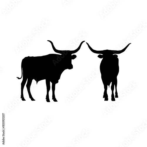 Two longhorn cattle silhouettes standing together in black and white