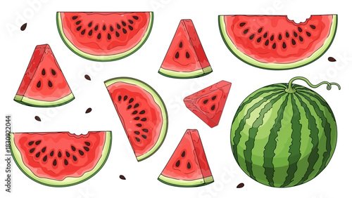 Fresh Watermelon Slices and Whole Melon A Sweet Summer Treat, Isolated on White