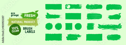 Green Eco Brush Labels and Organic Badge Set. Collection of green eco brush labels, organic badges and grunge paint shapes on light background. Natural food packaging, vegan, healthy product. Vector