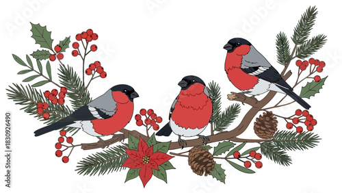 Festive winter composition with three charming bullfinch birds perched on a pine branch decorated with poinsettia and holly berries