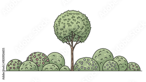 Hand-drawn illustration of a stylized round tree and flowering bushes, isolated on a white background for landscape design