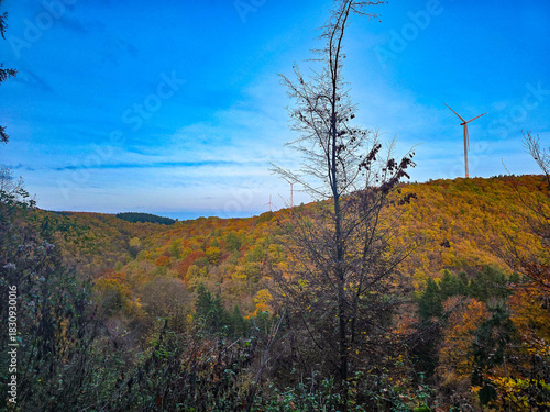Wind Turbines over an Autumn Field