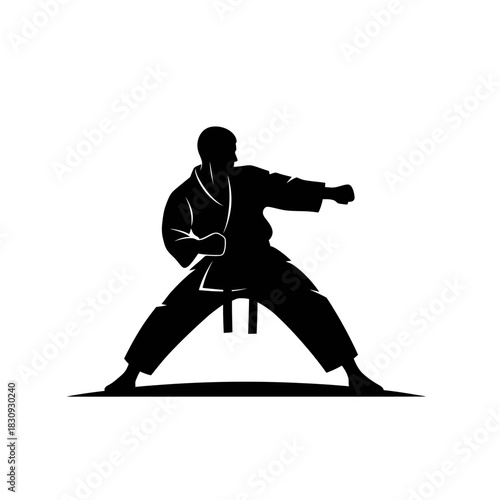 Dynamic martial artist throwing powerful punch in silhouette, symbolizing strength, discipline, and focus for fitness, self-defense, and sports themes