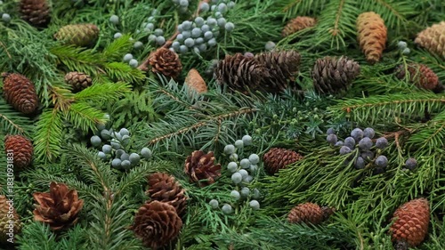 Natural Winter Holiday Decoration – Spinning Evergreen Composition. Rotating top view of pine, fir, and juniper branches with cones and berries. Natural Christmas decor for winter and holiday projects