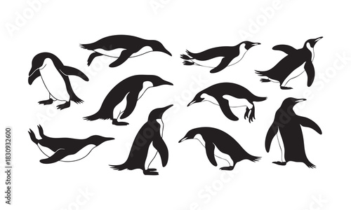 Penguin vector silhouettes in various dynamic poses and actions Vector