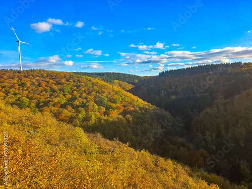 Autumn Canyon in Golden Tones