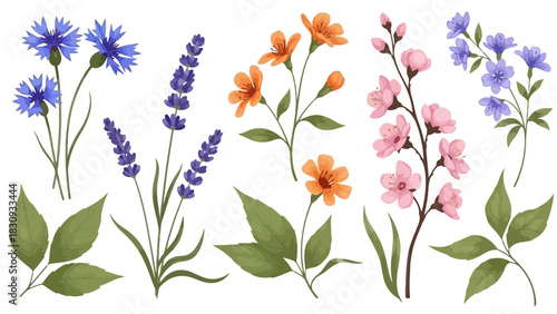 Delicate watercolor floral illustrations of blue cornflowers, lavender, and peach blossoms