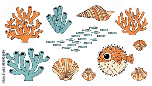 Underwater World Vector Illustrations of Marine Life, Corals, Fish, and Shells