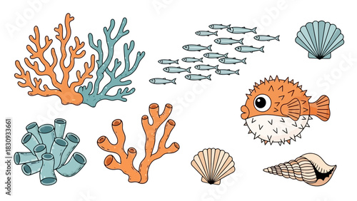 A vibrant collection of marine life, including colorful coral, a school of fish, a pufferfish, and various shells, creating a lively underwater scene illustration