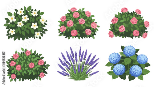 Collection of beautiful flower bushes in full bloom pink roses, lavender, and hydrangeas in illustration style