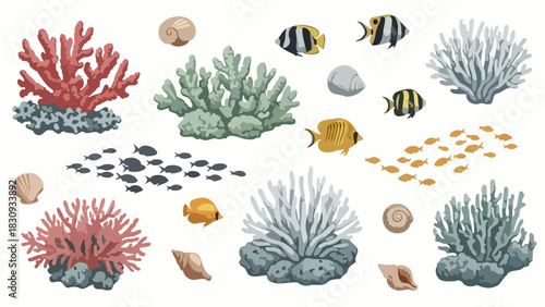 A vibrant collection of illustrated underwater sea life, including colorful coral reefs, tropical fish, and various seashells