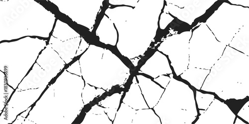Black and white silhouette of tree branches on a dry cracked earth texture pattern