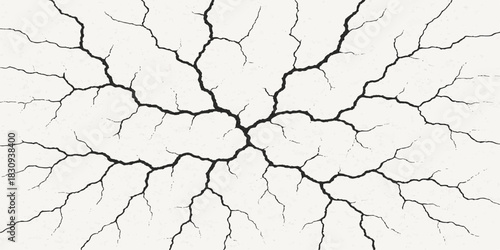 Old cracked bark texture on tree surface